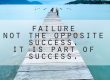 how to turn failure into success and be a better consultant